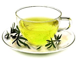 Green-Tea1